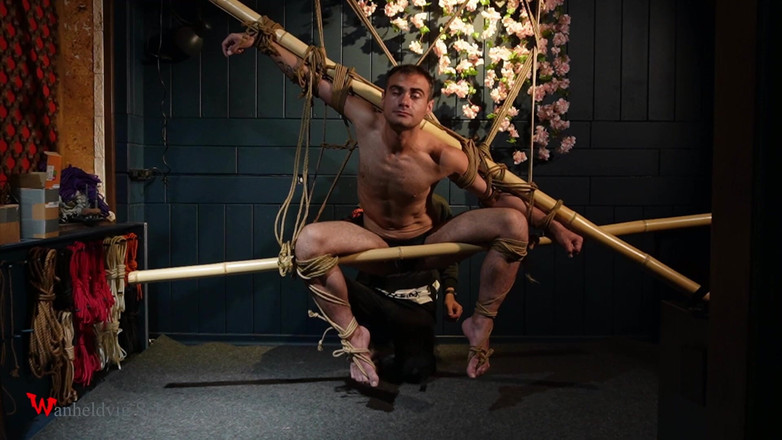 Wanheldvig: Красивый Зевс, Связанный Джутовыми Веревками Шибари Элегантность В Бессильном Положении Напряжение