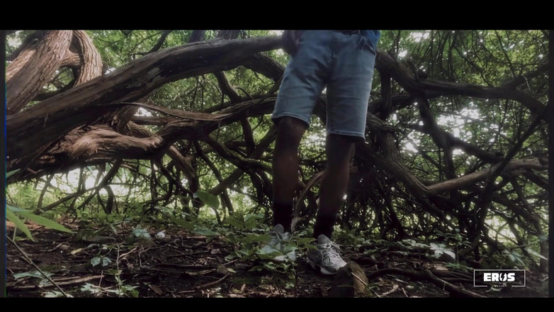 Boy Wonder: 3987809160.mp4