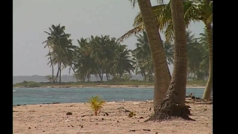 Vintage megastore: Het vintage knull på stranden i amerikansk vintage porrfilm