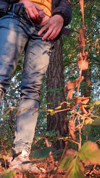 Forest Walk