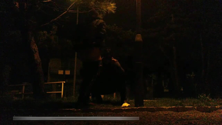 Toilet Mommy: Sub slut trained in park