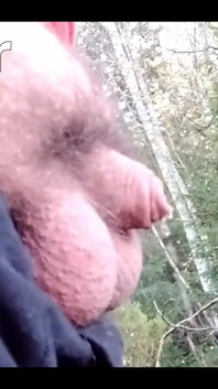 484118313627033600.mp4