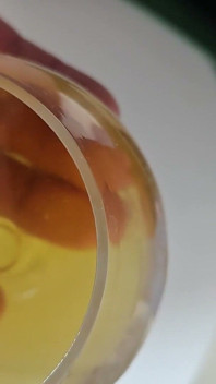 Macro Long Foreskin Piss