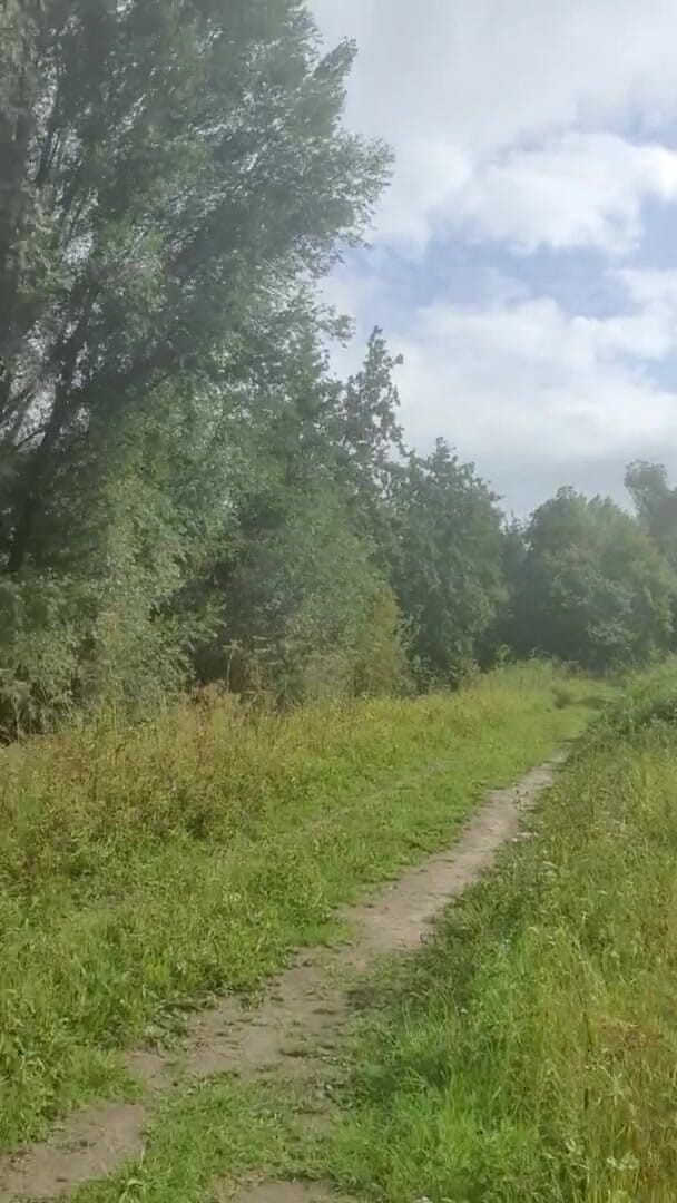 Slutboyben: Slutboyben Cam4 Sexy Cestovní Kočka Voyeur je exhibicionista