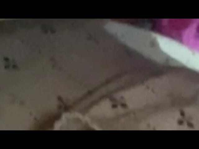 Arabicqueen: かわいいムスリムカップルがキスをする