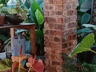 Bigjoefuckalott: Fucking My Neighbours Wife Outdoor on the Patio