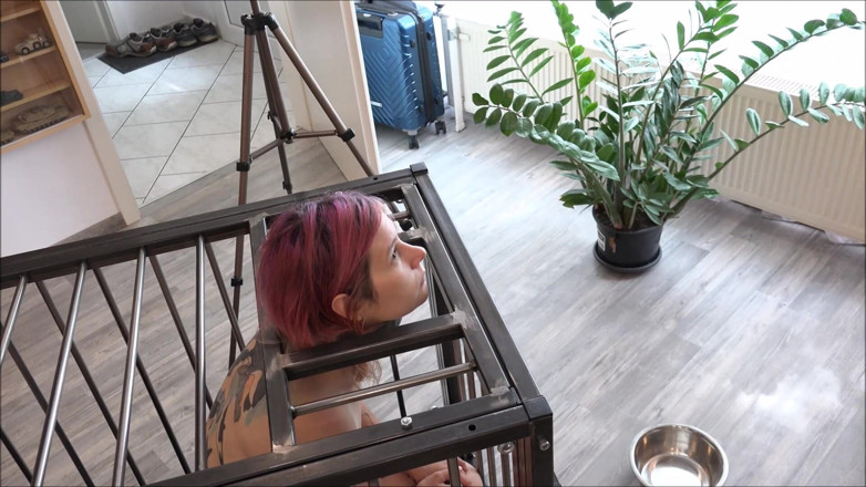 Master-Thomas: Slave Used in Cage and Impregnated