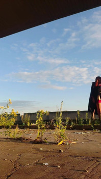 É um lindo dia ensolarado e eu estou em meias bonitas