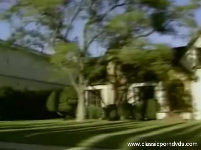 Classic Porn DVDs: Klasyczne dvd porno: miejsce przyjemności: część 1