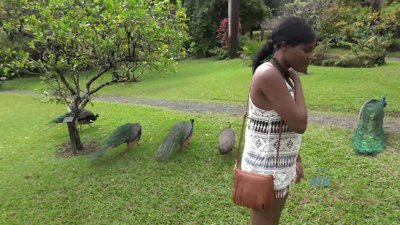ATK Fans (Girlfriends): Virtual vacation in Hawaii with Yara Skye 7/11