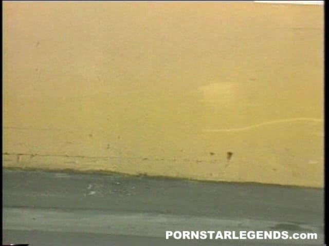 Pornstar Legends: Tami White і Sasha Gabor