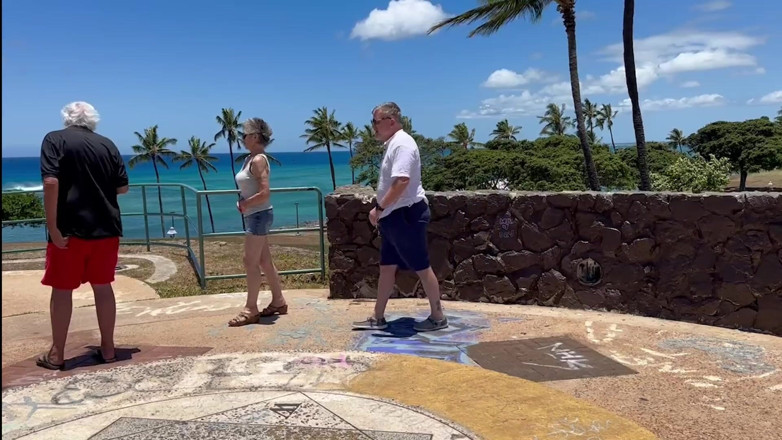 FromThisNight: Ho appena incontrato questo visitatore alle Hawaii - e qui siamo,...