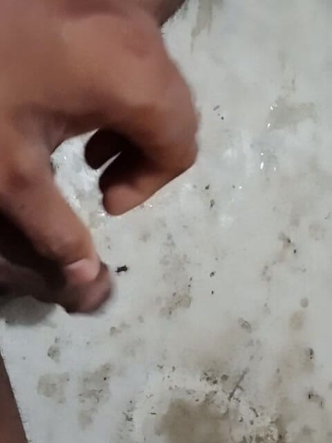 I love sex 24: Juego de roles en Bangladesh