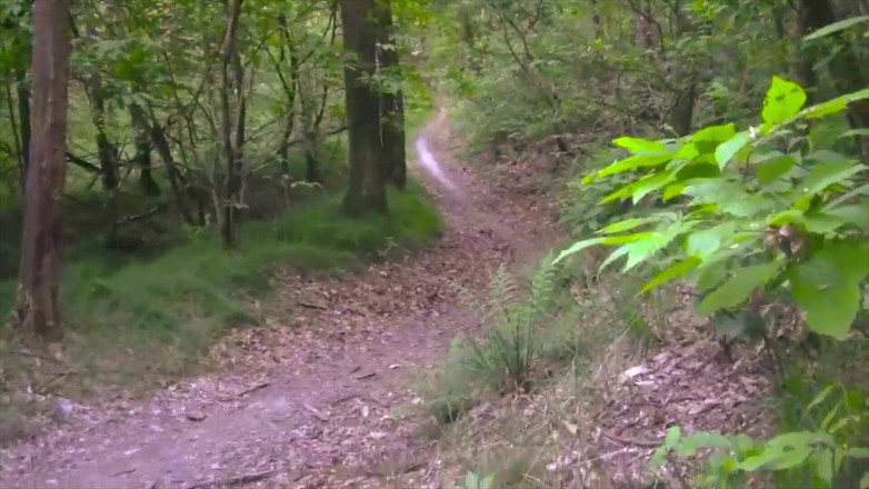 BELLOeBIOTTO: 公共の森で、上半身裸で素敵で長い射精