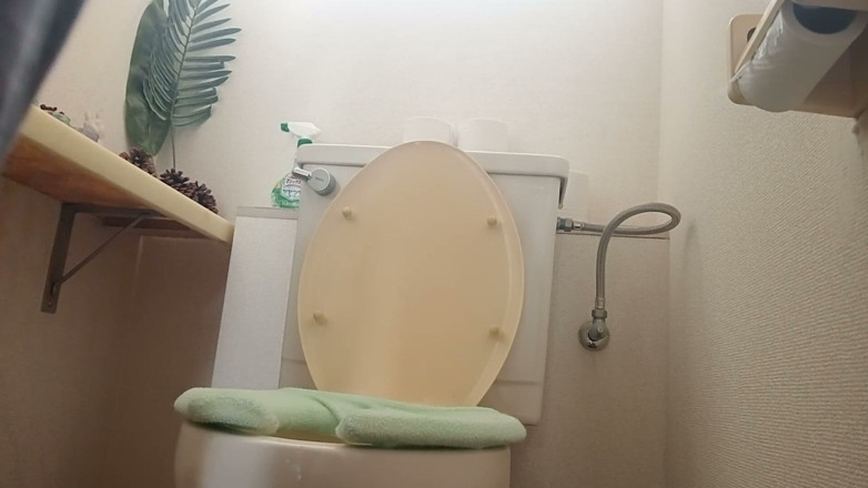 Mayumi Kanzaki: Everyday Life of a Mature Woman - Toilet
