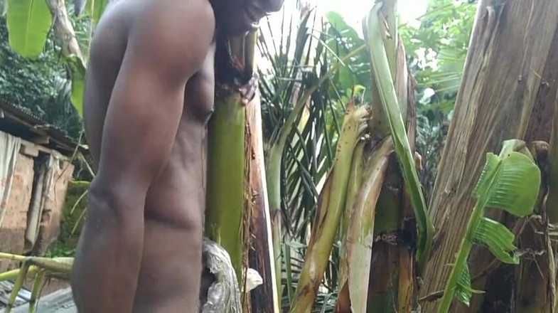 Bangcum8: Man helt ensam i skogen och gör plantainträdet är fru och...