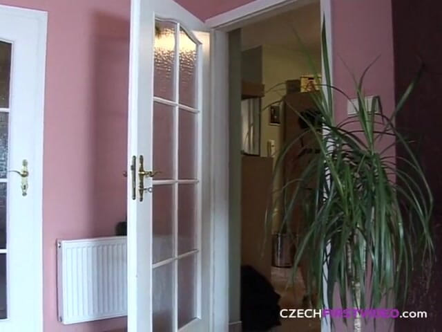 Czech First Video: Czech First Video 12: Brunette's Fucking Premiere
