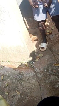 Réalité, Grosse Noire - La Séance De Sororité En Plein Air De Hongi Se Déchaîne Sous La Douche À Côté De La Barrière Du Voisin