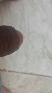 Dick in Rest Mode