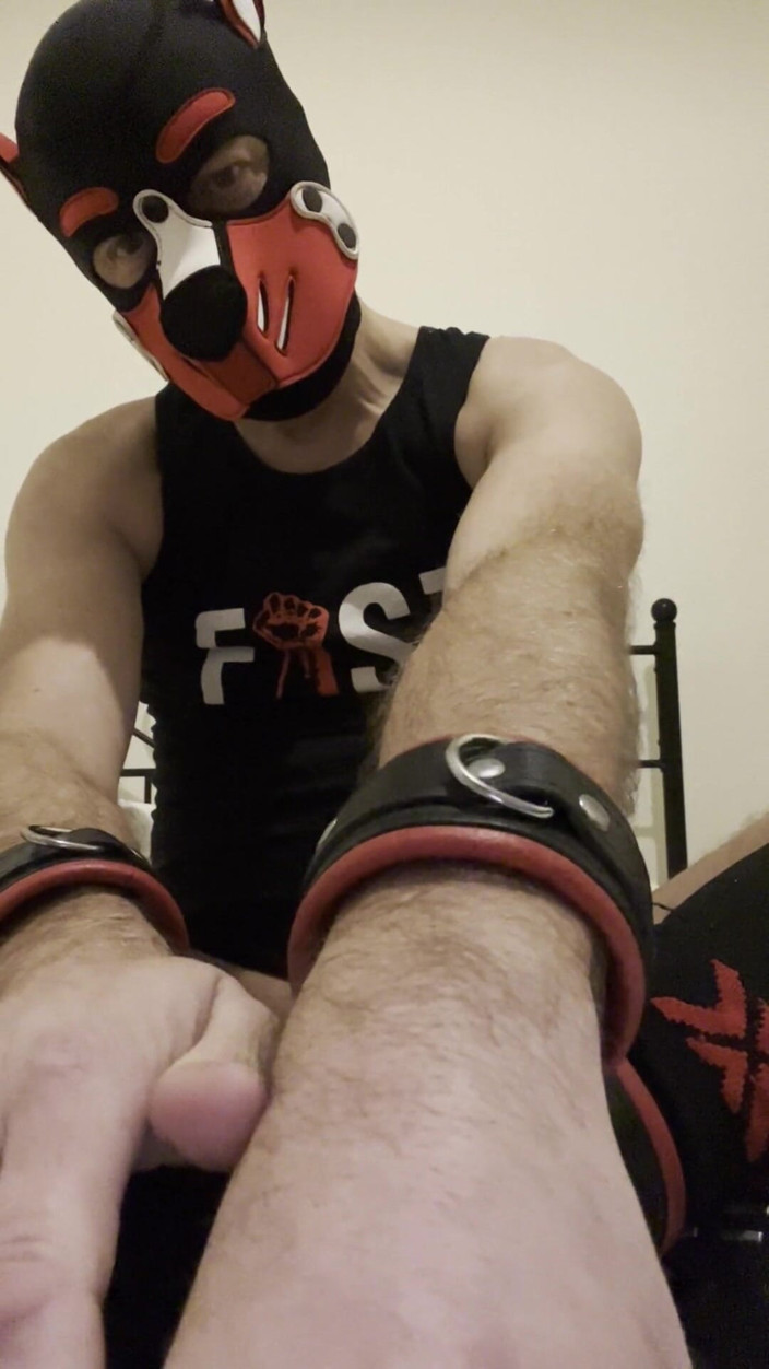 KinkyToyStory: Gaping Gay Puppy Ass After Heavy Fisting Night