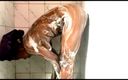 Rowena Royale: Oiled up Playing Buttplug in Ass and Dildo in Pussy