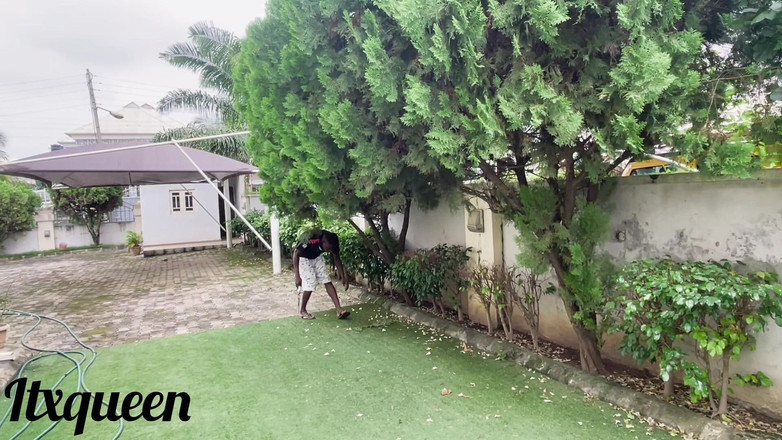 ITX_Kwin: Dev Afrikalı yaraklı bahçıvan