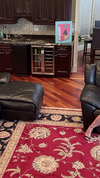 Doggnuts Cam 2 - Cuckold Watches Pounding by BBC Half Wife's Age