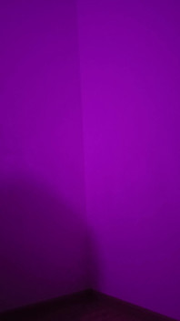 Purple Anal Fantasy 2