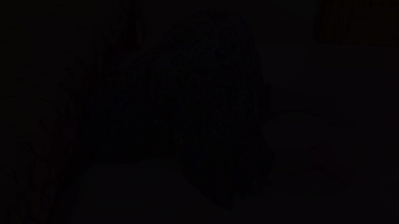 Aria Mia: Duży tyłek seksowna pokojówka Desi utknęła pod łóżkiem