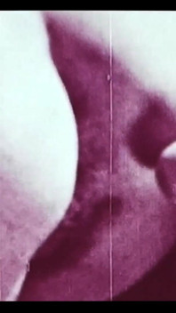 Vintage porn retro erotic theatre - wild sex 5