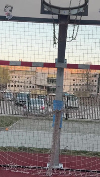 Nowy rozkwit bursztynu