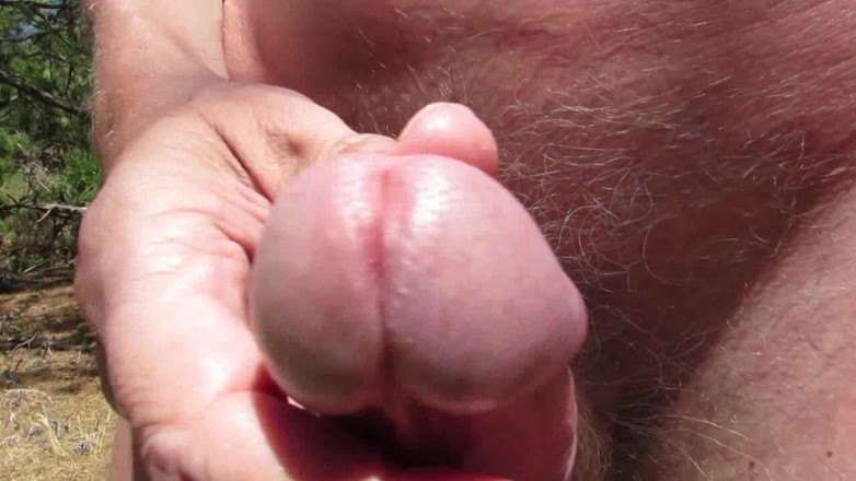 Littleschorschi: Paja desnuda en el bosque y los campos 2