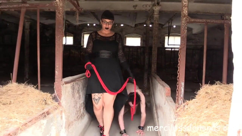 Merciless Dominas: 草莓脚