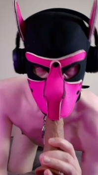 This Could Be Your Cock in Hound's Mouth