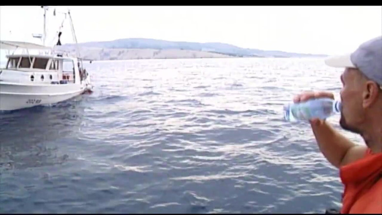 MMV Films and Clips XXX: Ariel, a Pequena Sereia