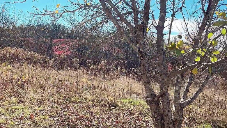 sweethanajapanese: Kencing pepek dalam cuaca sejuk di luar