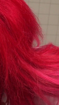 Troia rosa e il suo piccolo vibratore
