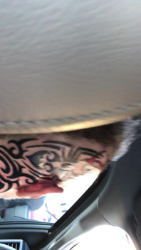 Daddy’s New Tramp Stamp