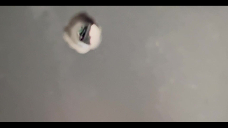 Ksanchez1203: Cruising Bear