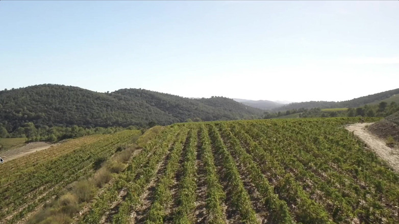 Jet sex prod: Parthouze in the Var Vineyards
