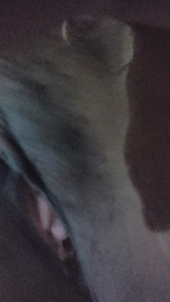 Dr_doom21: 섹시한 통통한 엄마의 섹시한 바비 Chudakadh Bhabhi Gulabi Chut