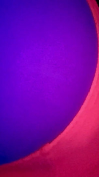 My Neon Panties Are the Only Thing Between You and My Explosive Farts