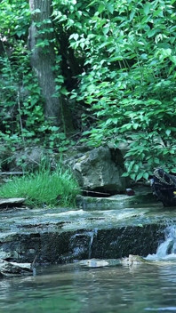 Flexing by the Waterfall, Trying to Sneak a Little Private Moment…