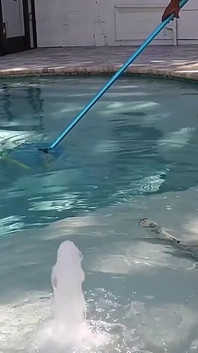 Zwembad pijpbeurt met pedsrmeds