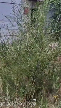 Un hooligan militar twink cu lenjerie intimă ruptă este futută sexy în armată