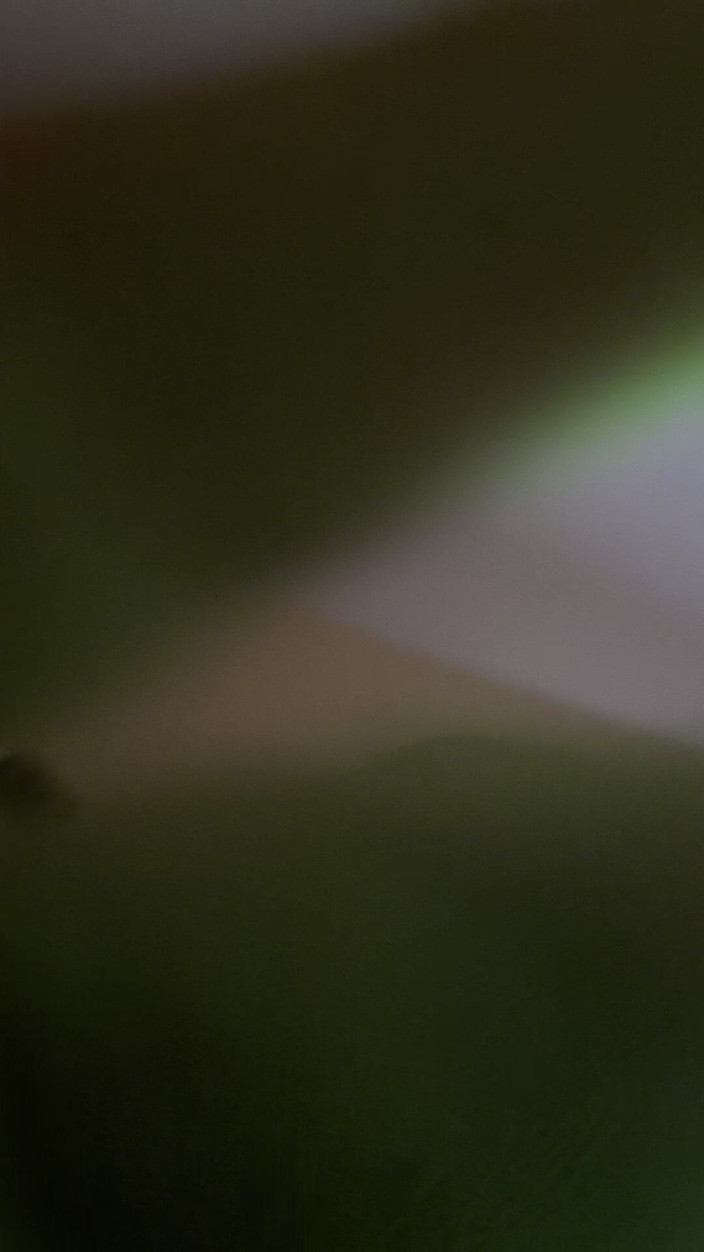 Ddub: Halle Ball Deep on 12"