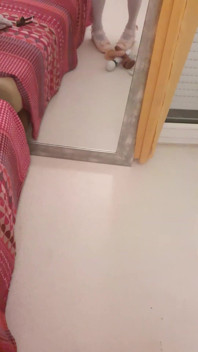 Look My Maid's Ass in Front of the Mirror.