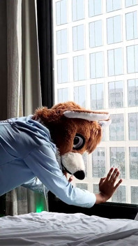 Bareback Femboy Furry Fursuit Fuck in Front of Window