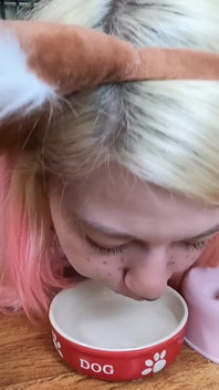 Cute Pet Girl Drink From Her Bowl