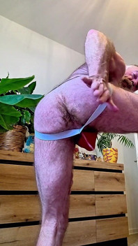 Owłosiony niedźwiedź próbuje Jockstrap